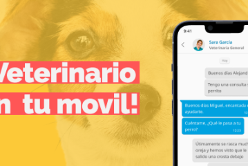 app doctor i veterinario